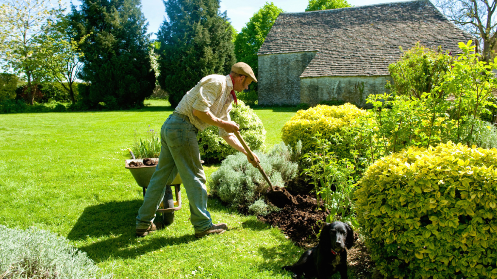 Préparer son jardin pour l’hiver : les bons gestes à adopter