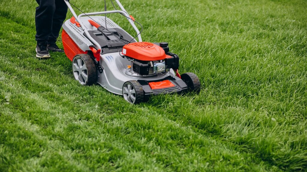 Tonte au printemps : l’erreur fréquente qui impacte votre pelouse tout l’été