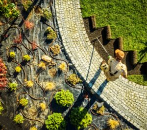  ARBRE JARDIN ENVIRONNEMENT 