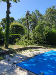 Guide De Lhabitat Guide De L Habitat 1758012530387