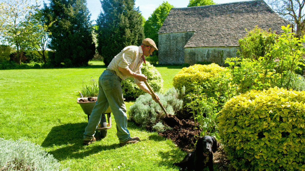 Guide De Lhabitat Guide De L Habitat Bien Preparer Son Jardin Et Ses Plantes Pour L Hiver
