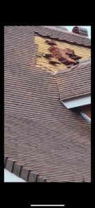 Guide De Lhabitat Guide De L Habitat Image4