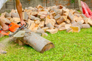 Guide De Lhabitat Guide De L Habitat Istockphoto 1295974201 612x612 1