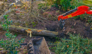 Guide De Lhabitat Guide De L Habitat Istockphoto 1352476362 612x612 1