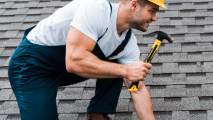 Guide De Lhabitat Guide De L Habitat Longevite Toiture Ardoise