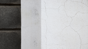 Guide De Lhabitat Guide De L Habitat Micro Fissures Mur1