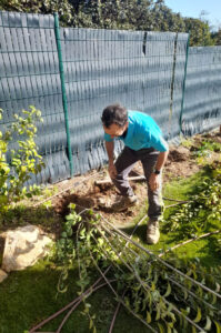 Guide De Lhabitat Guide De L Habitat Sylvain Hoyon Services Entretien Jardin Valbonne Gazon Et Feuillages03 1 1