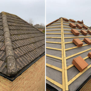 Guide De Lhabitat Guide De L Habitat 9DA7F5E6 891D 4247 9A4C D5115DE1F679.png