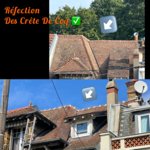 Guide De Lhabitat Guide De L Habitat Crete De Coq.jpg