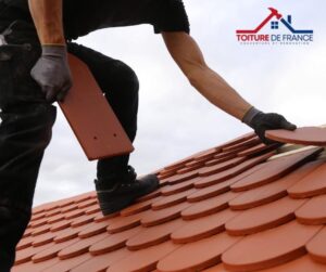 Guide De Lhabitat Guide De L Habitat IMG 1738.jpeg