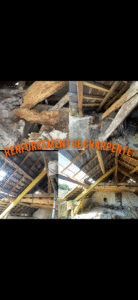 Guide De Lhabitat Guide De L Habitat IMG 8627 1.png