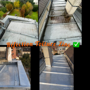 Guide De Lhabitat Guide De L Habitat Zinc 2.jpg